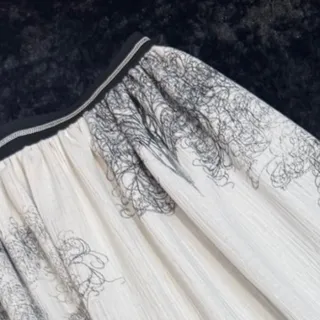 دامن مجلسی
