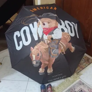 چتر تدی خارجی