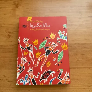 رمان سالار مگس ها