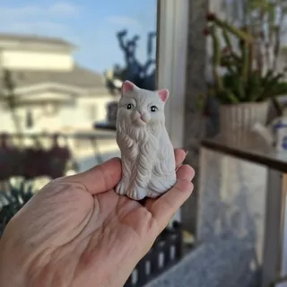 مجسمه بیسکوییتی گربه