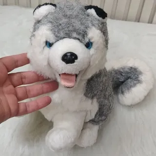 سگ بامزه
