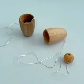 پرتونک