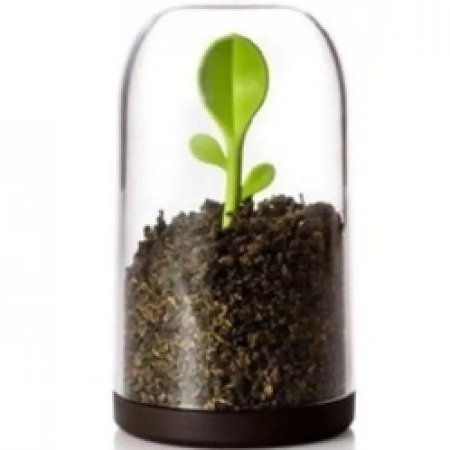 ظرف بانکه چای و قهوه