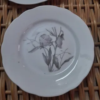 پیش دستی