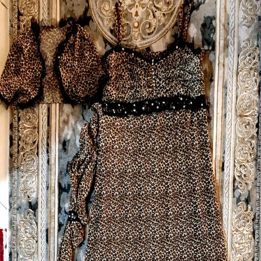 ماکسی مجلسی