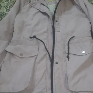 پالتو
