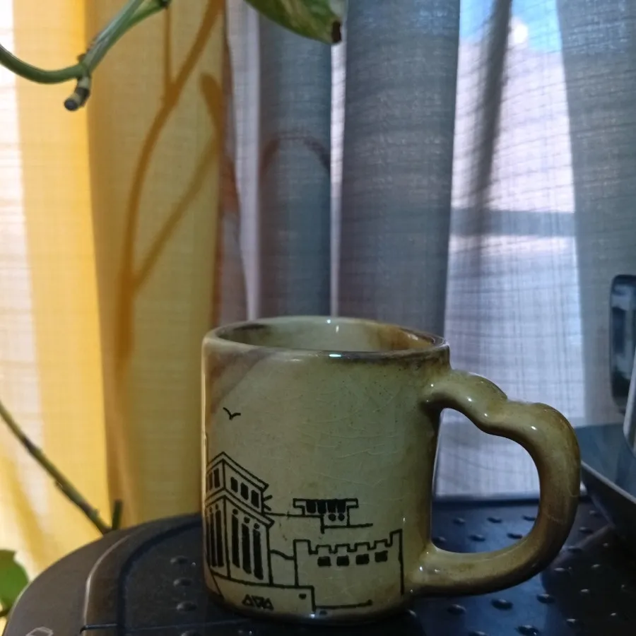 ماگ یزد