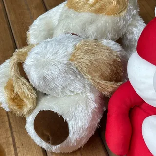 سگ مهربون