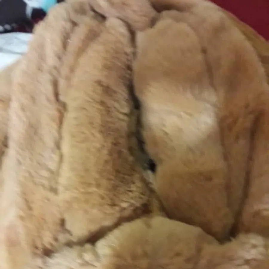 جا دستمال کاغذی پولیشی