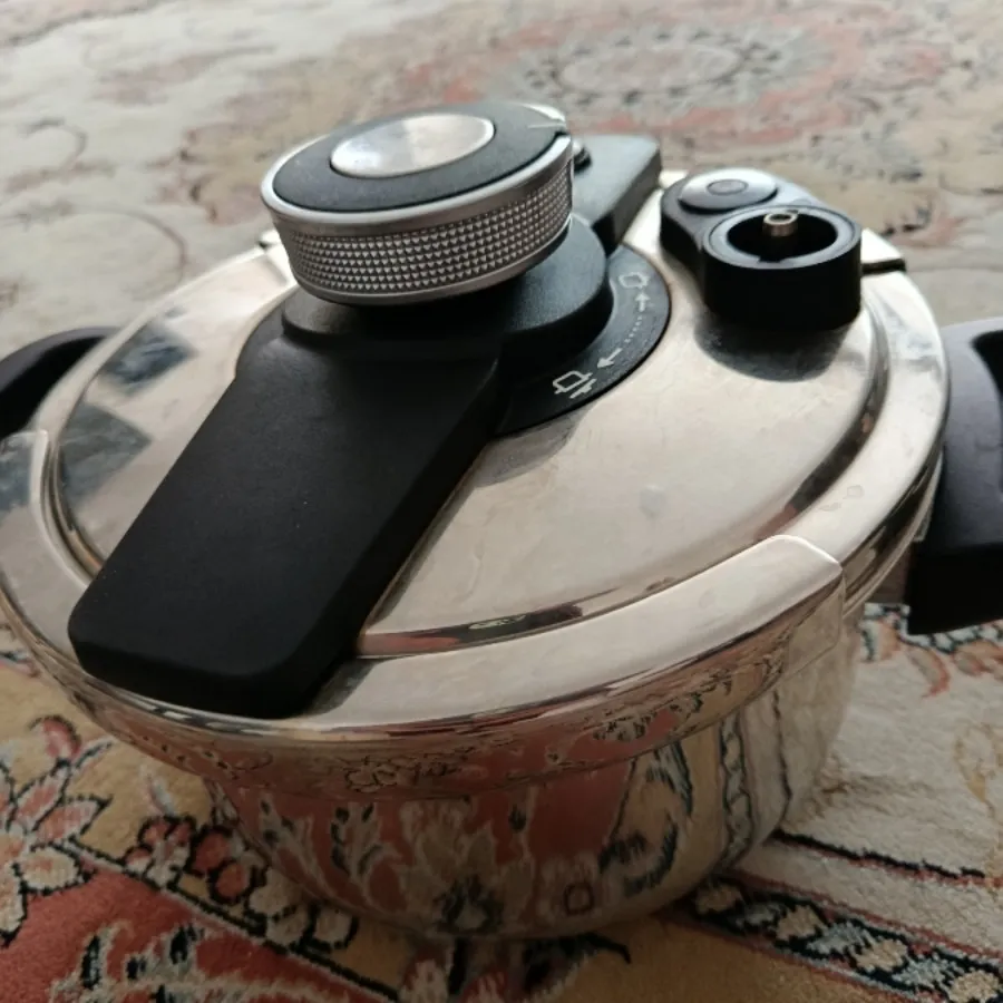 زودپز مارک یونیک دوقابلمه