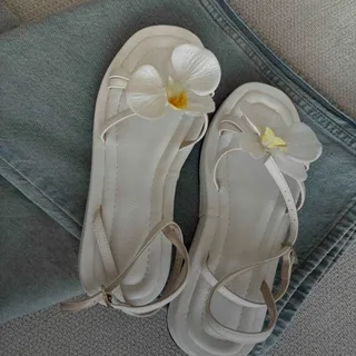 صندل گل ارکیده