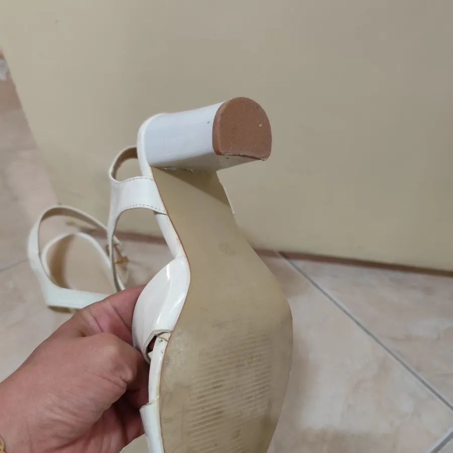 کفش مجلسی