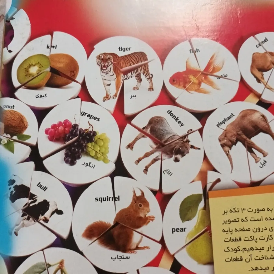 هوش چین
