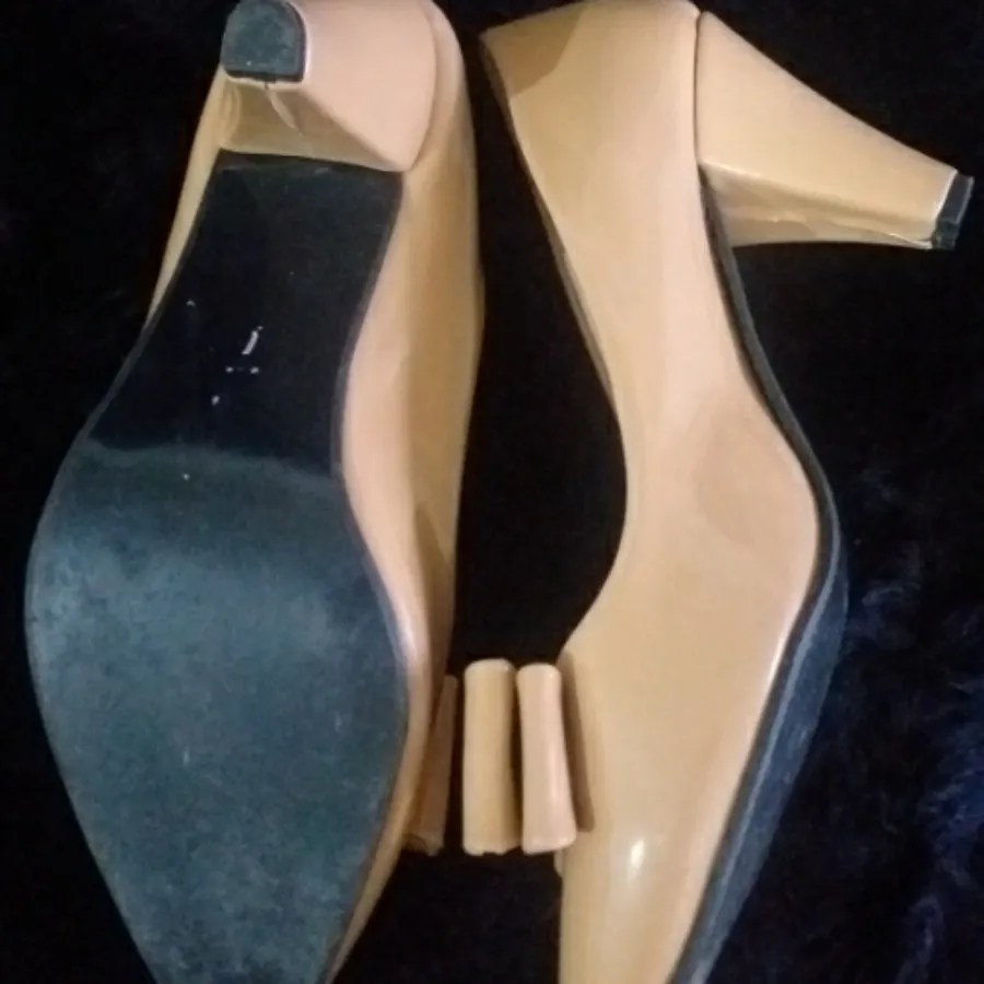 کفش مجلسی