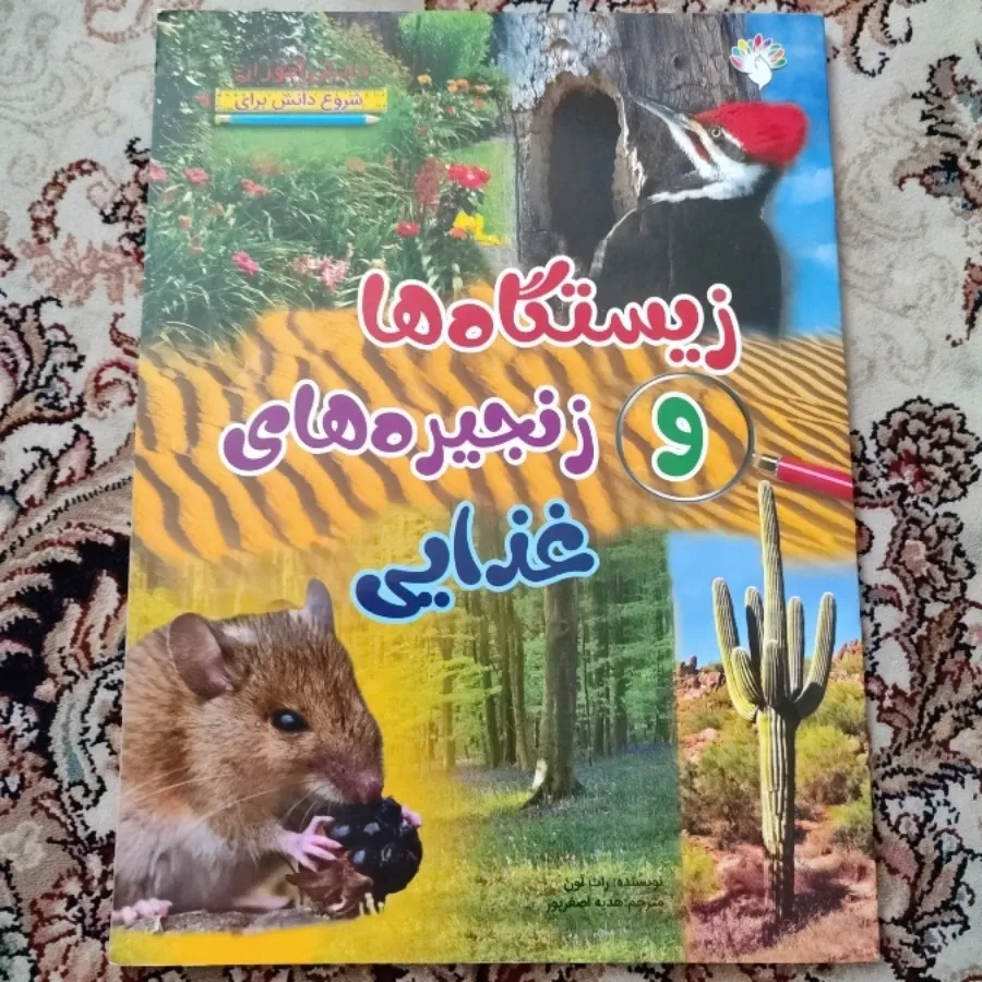 کتاب کودک