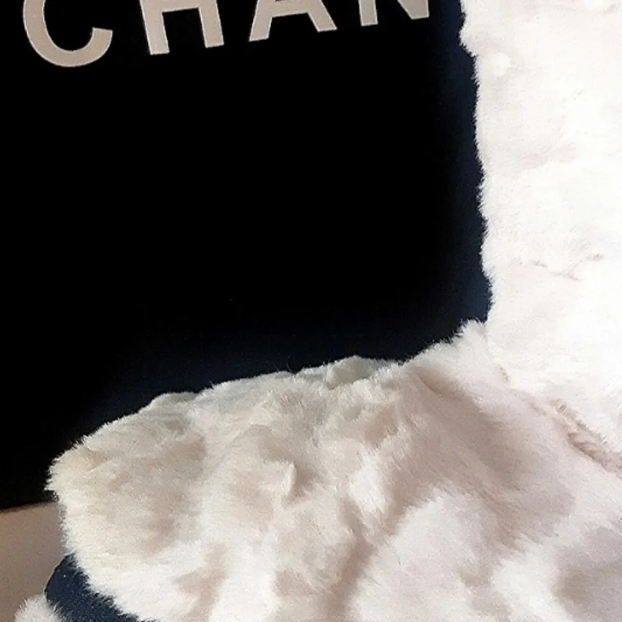 پاپوش