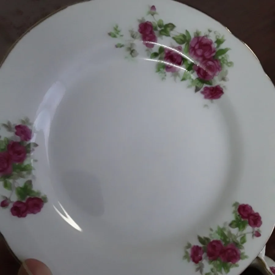 آبلیموخوری گل سرخی