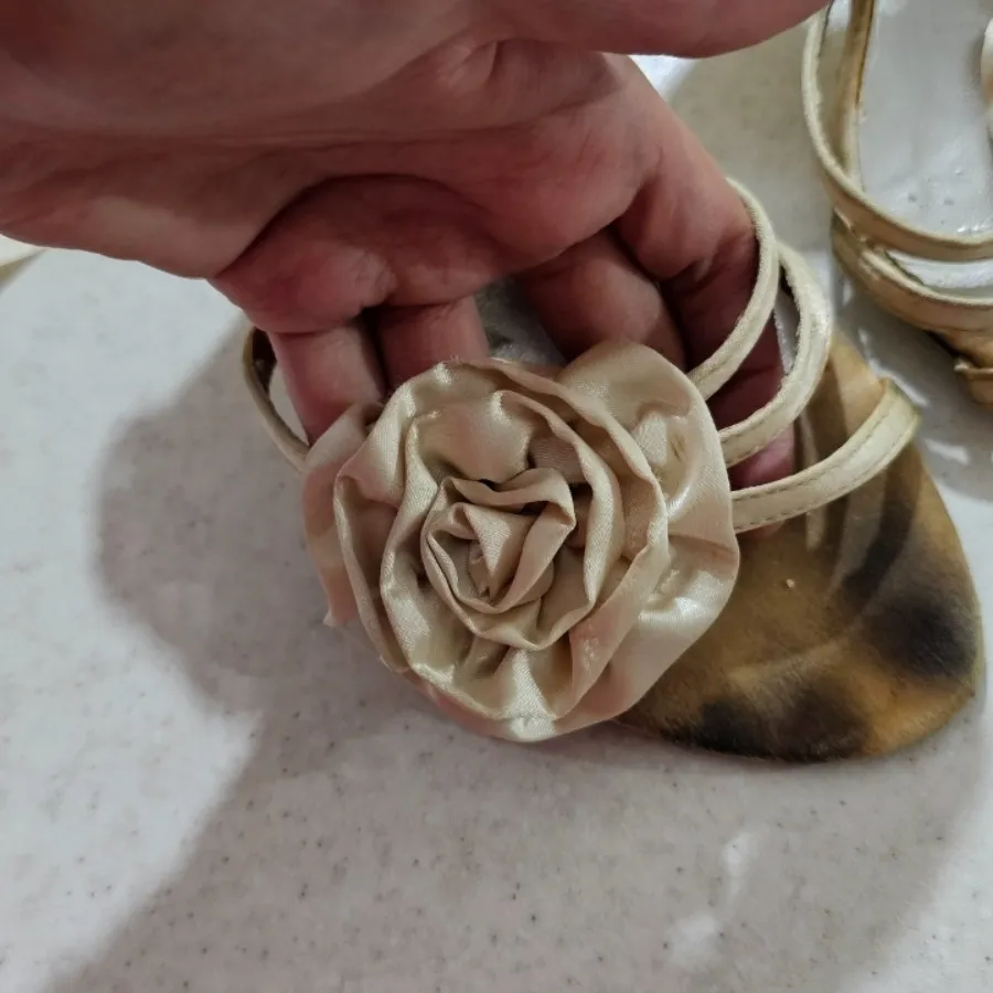کفش مجلسی