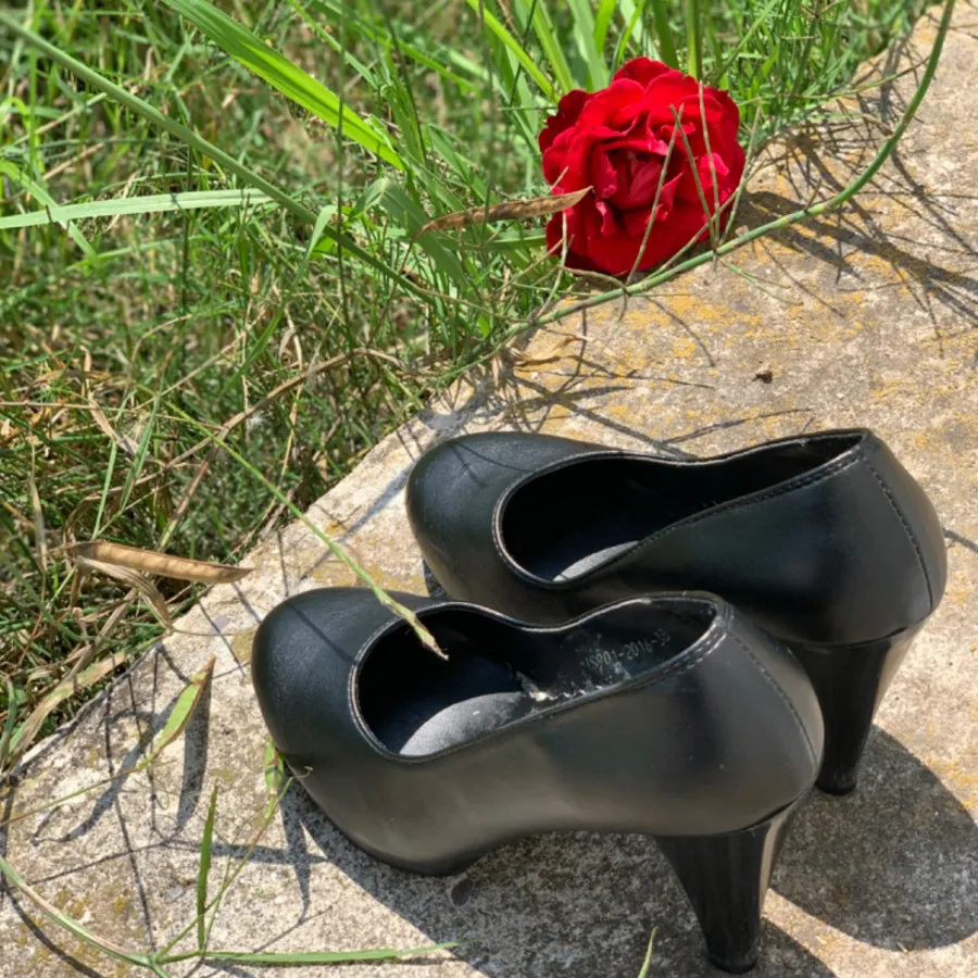 کفش مجلسی