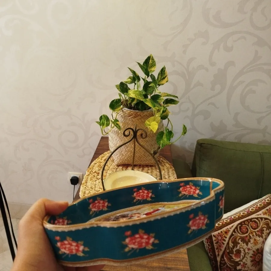 ظرف سرو