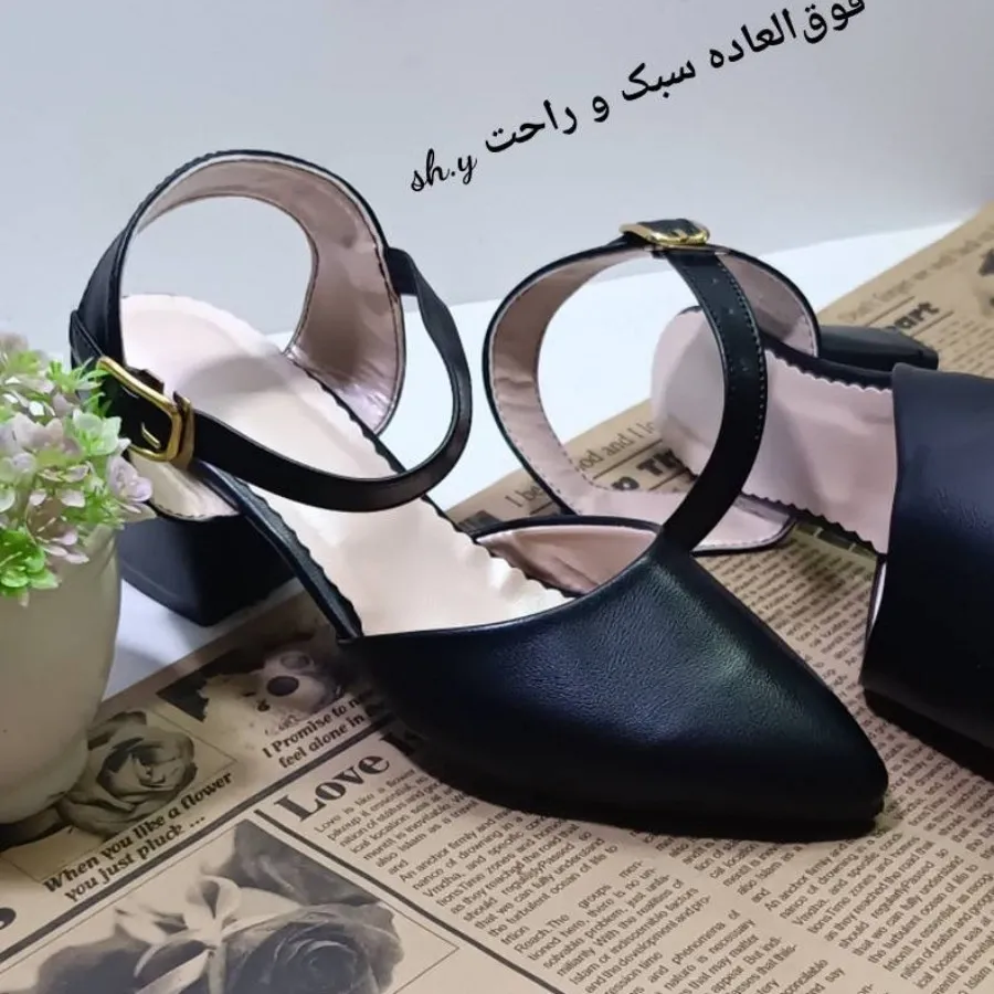کفش مجلسی
