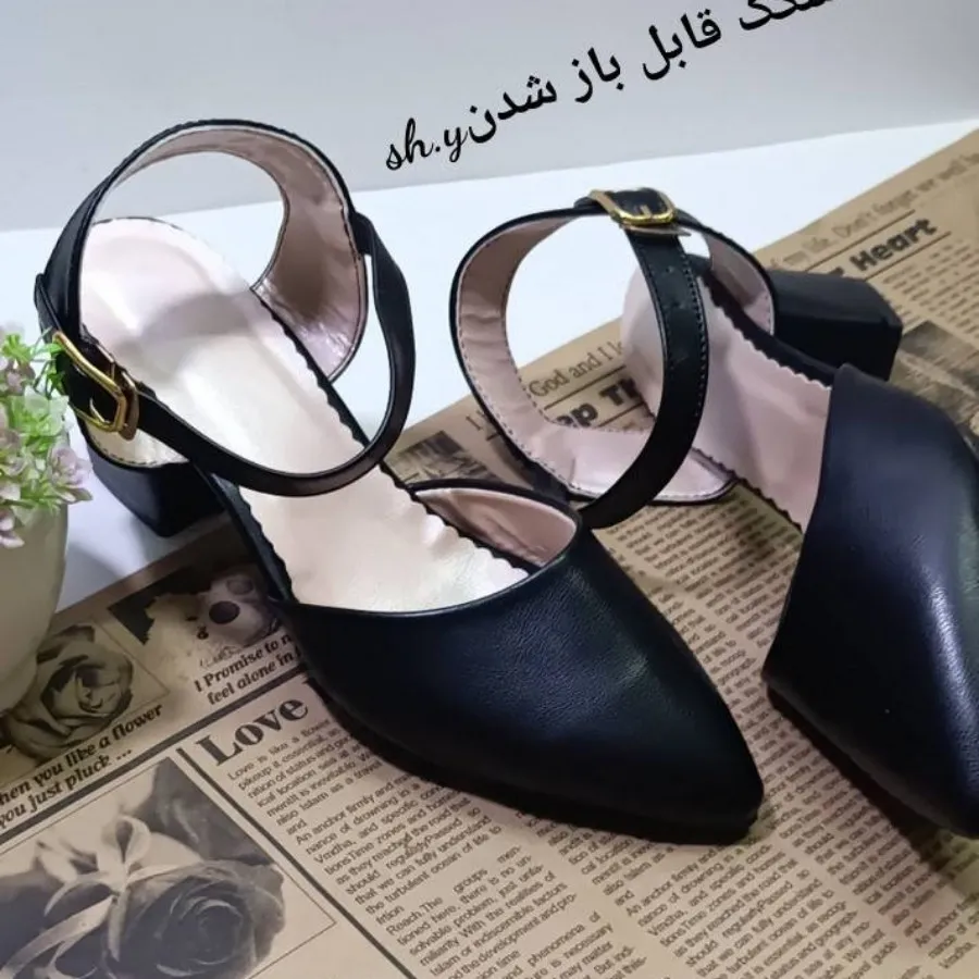 کفش مجلسی