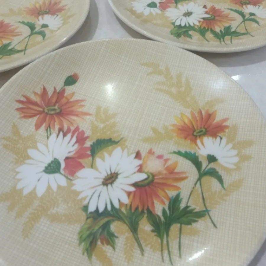 پیش دستی  پلو خوری