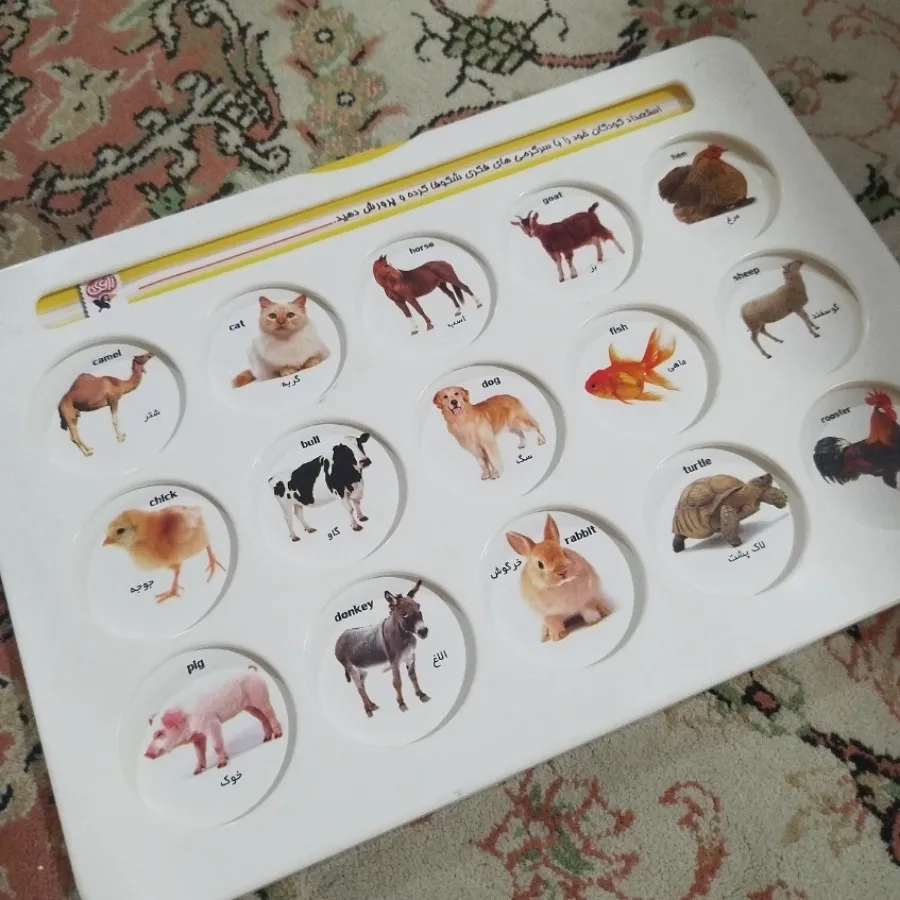 هوش چین