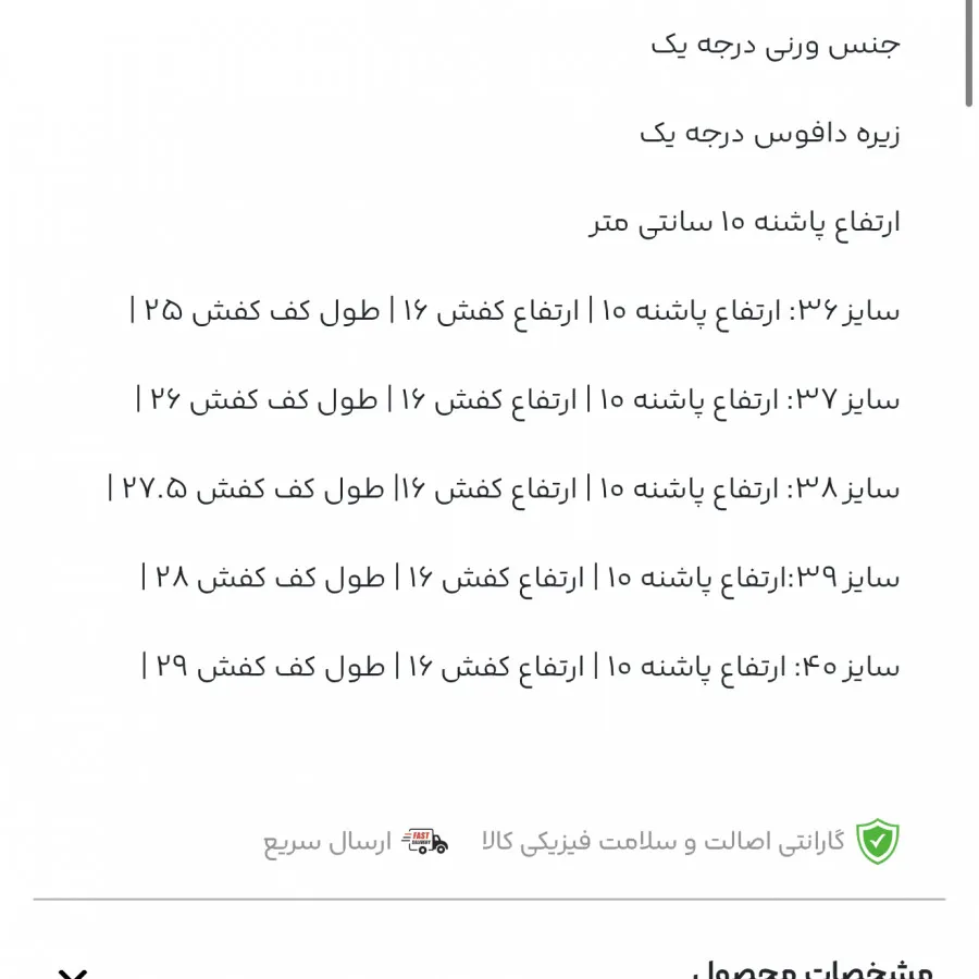 کفش مجلسی