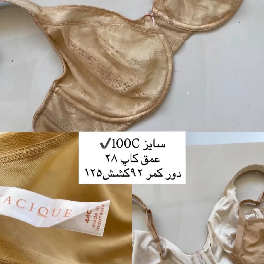 سوتین