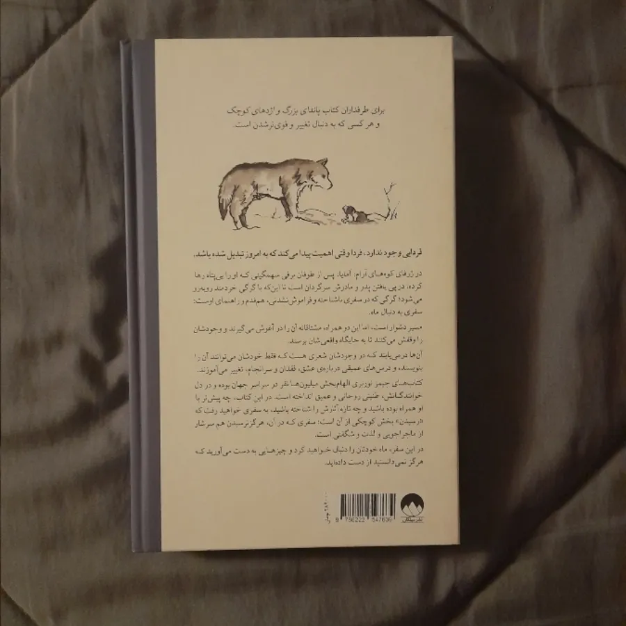 به دنبال ماه