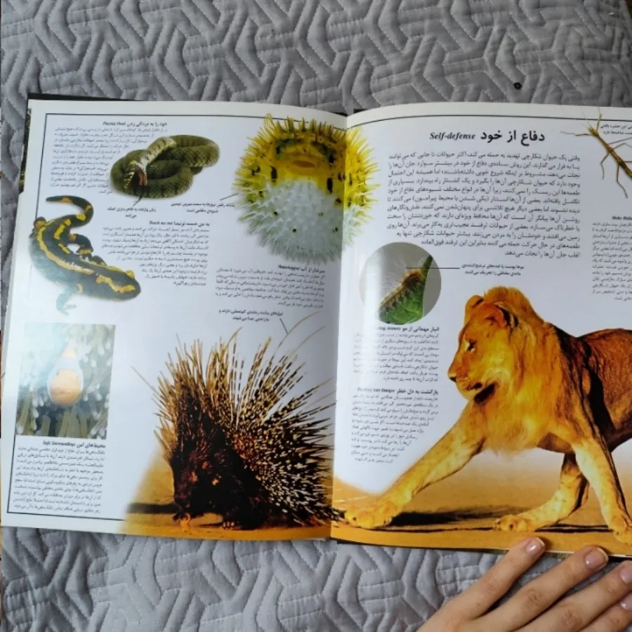 کتاب جلد رحلی