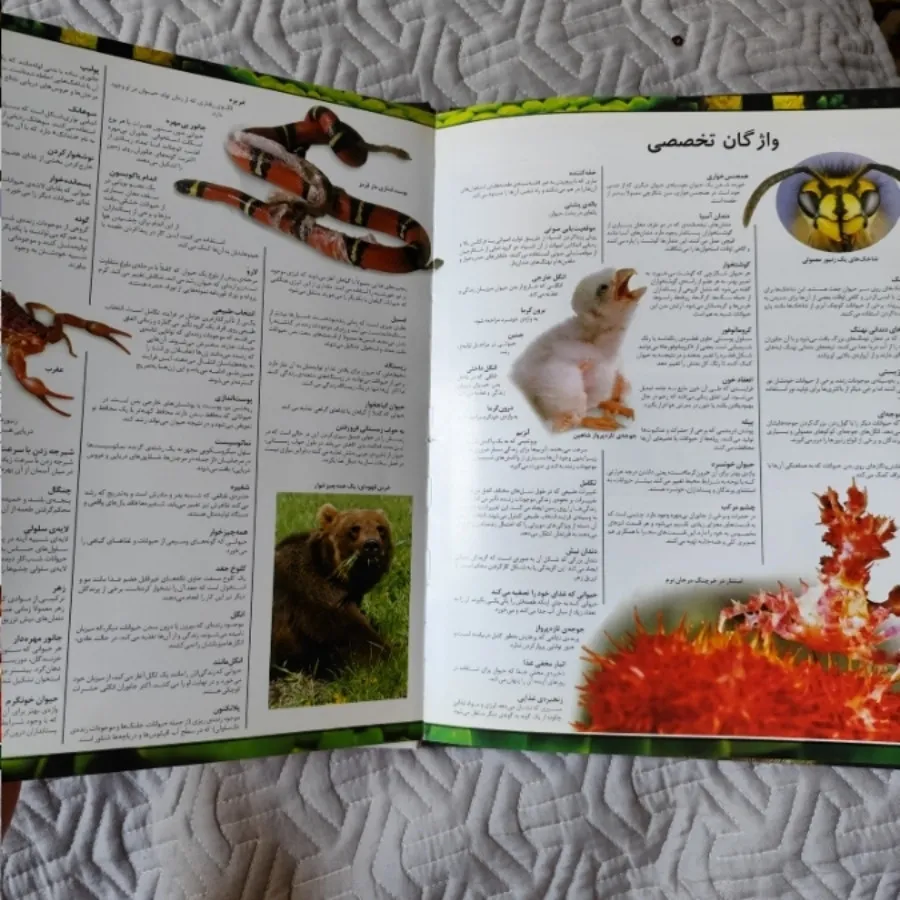 کتاب جلد رحلی