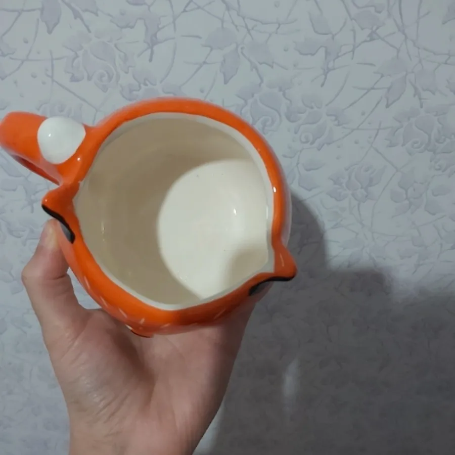 ماگ روباهی