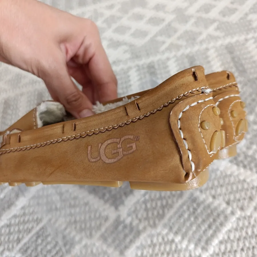کفش کالج تو کرکی طرح UGG