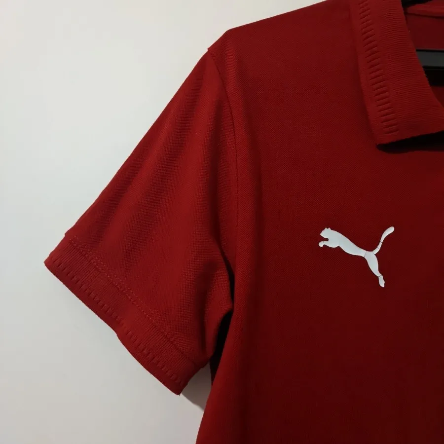 پولوشرت