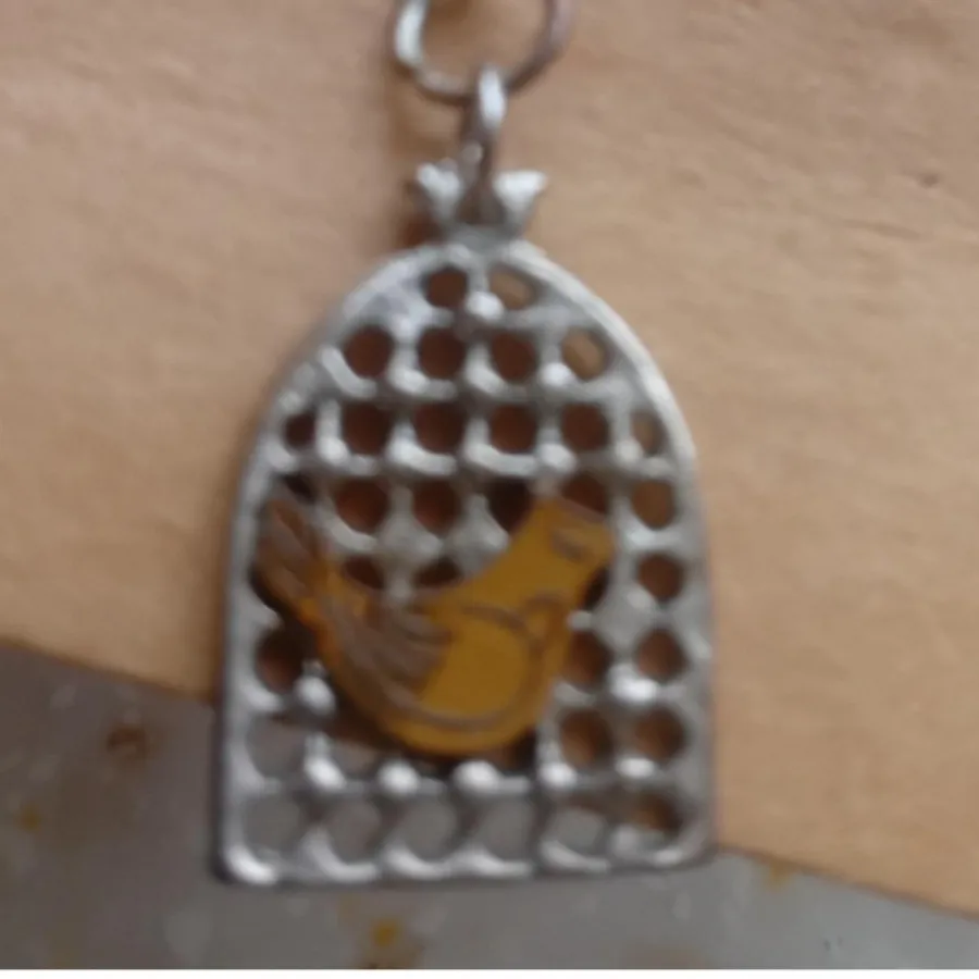 گوشوارقفس پرنده مرغ امین