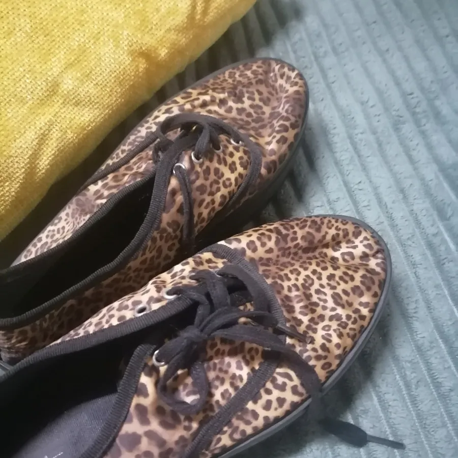 کفش zara