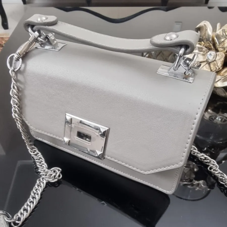 کیف طوسی و نقره ای