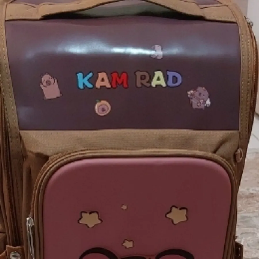 کوله  پشتی صندوقی