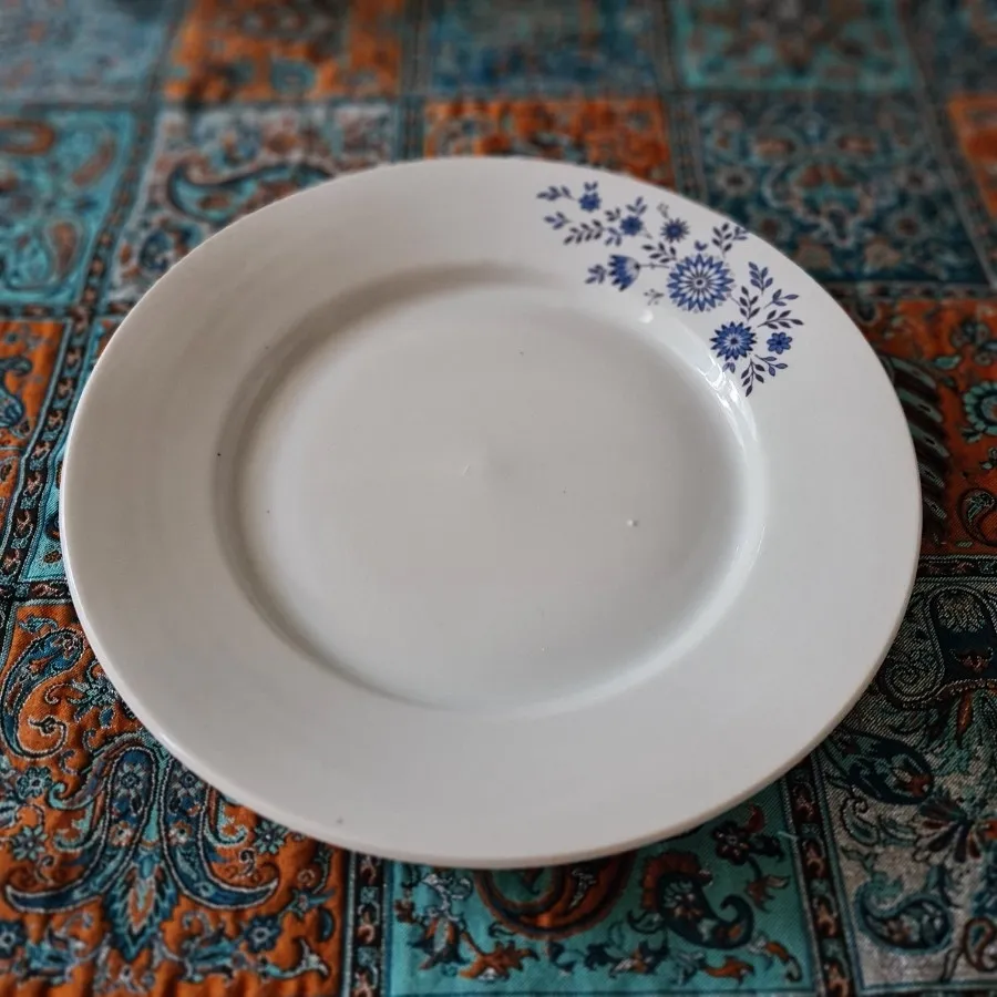 ظرف دیس گرد