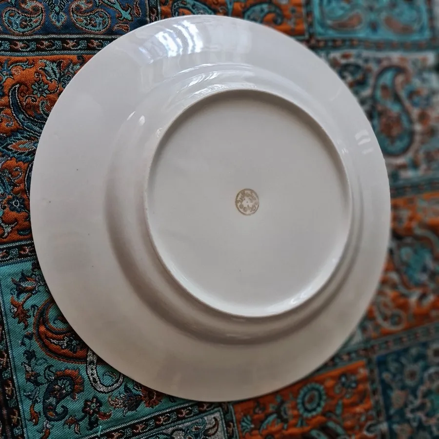ظرف دیس گرد