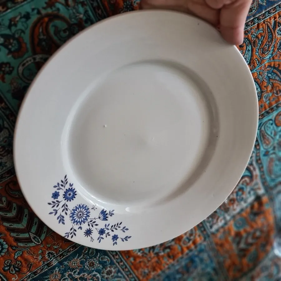 ظرف دیس گرد