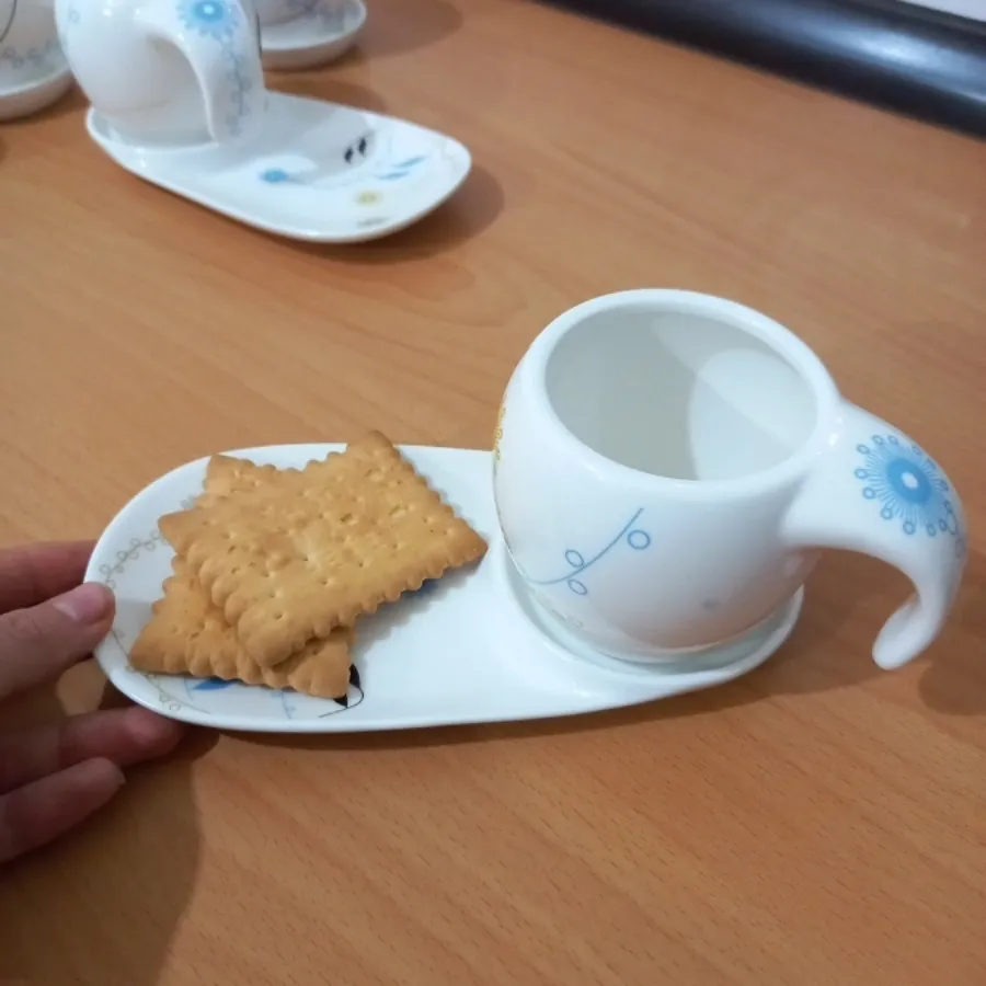 فنجان و زیر فنجانی