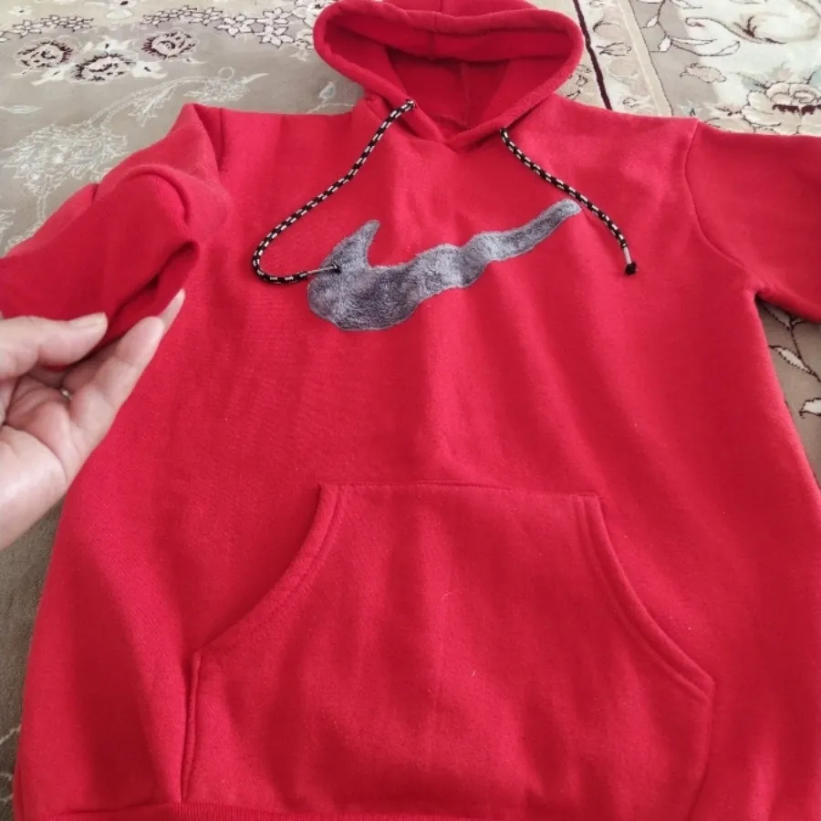 هودی