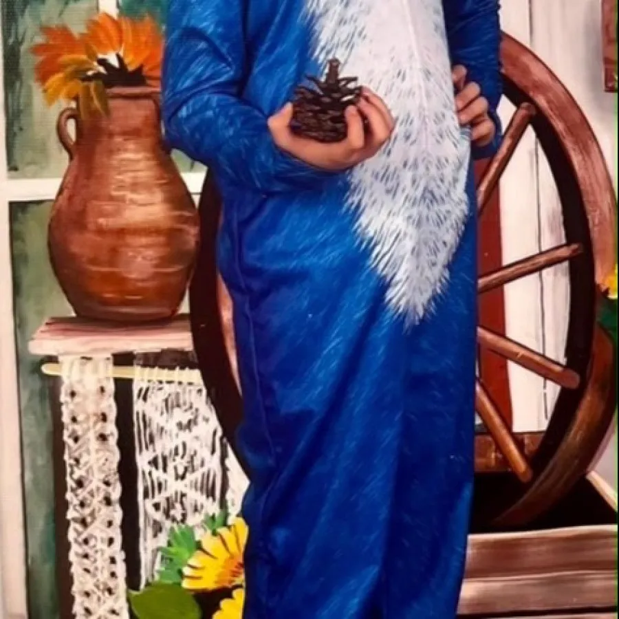 کاستوم کامل سونیک