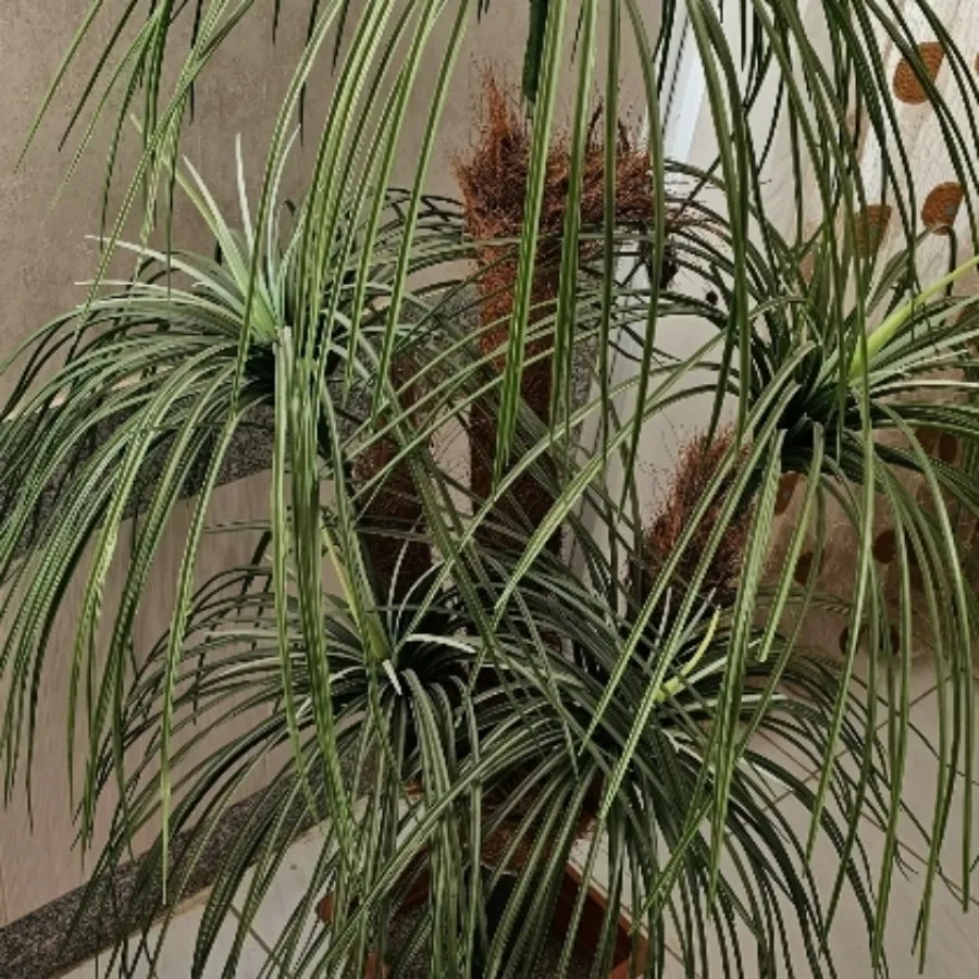 نخل مصنوعی