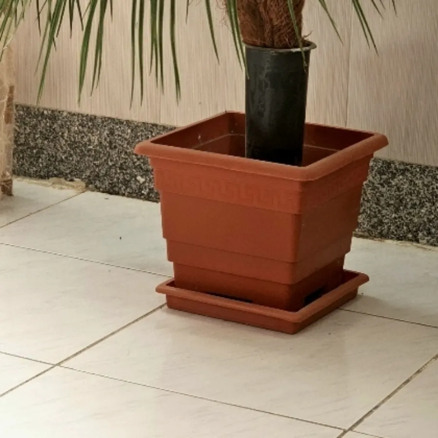 نخل مصنوعی