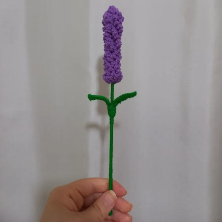 گل سنبل