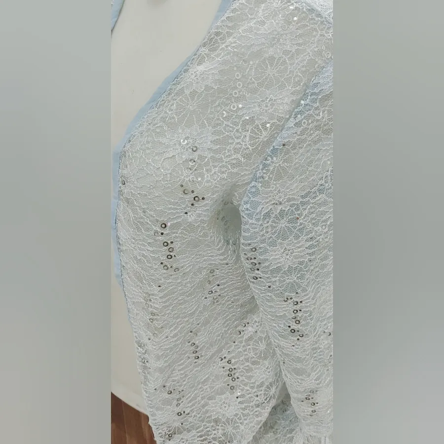 رویه مجلسی